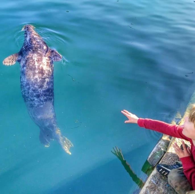 Hébergement de vacances Heart Of Kernow Holidays *